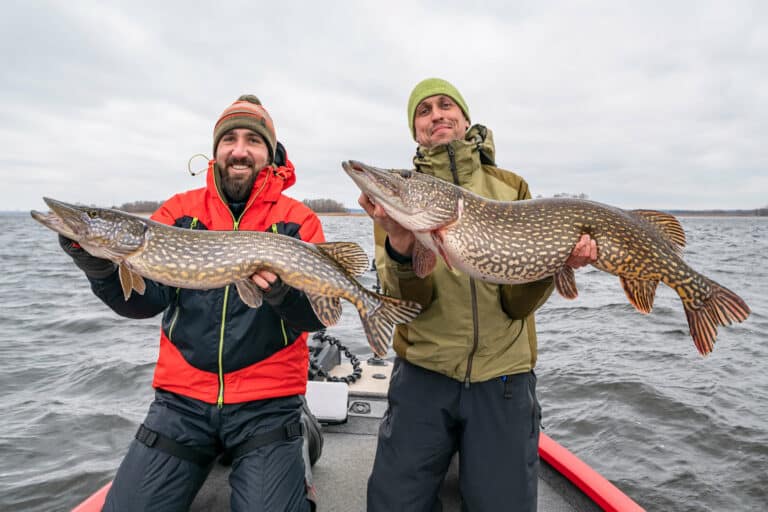 Pêcheur de brochet sur un bass boat en eau douce (1)